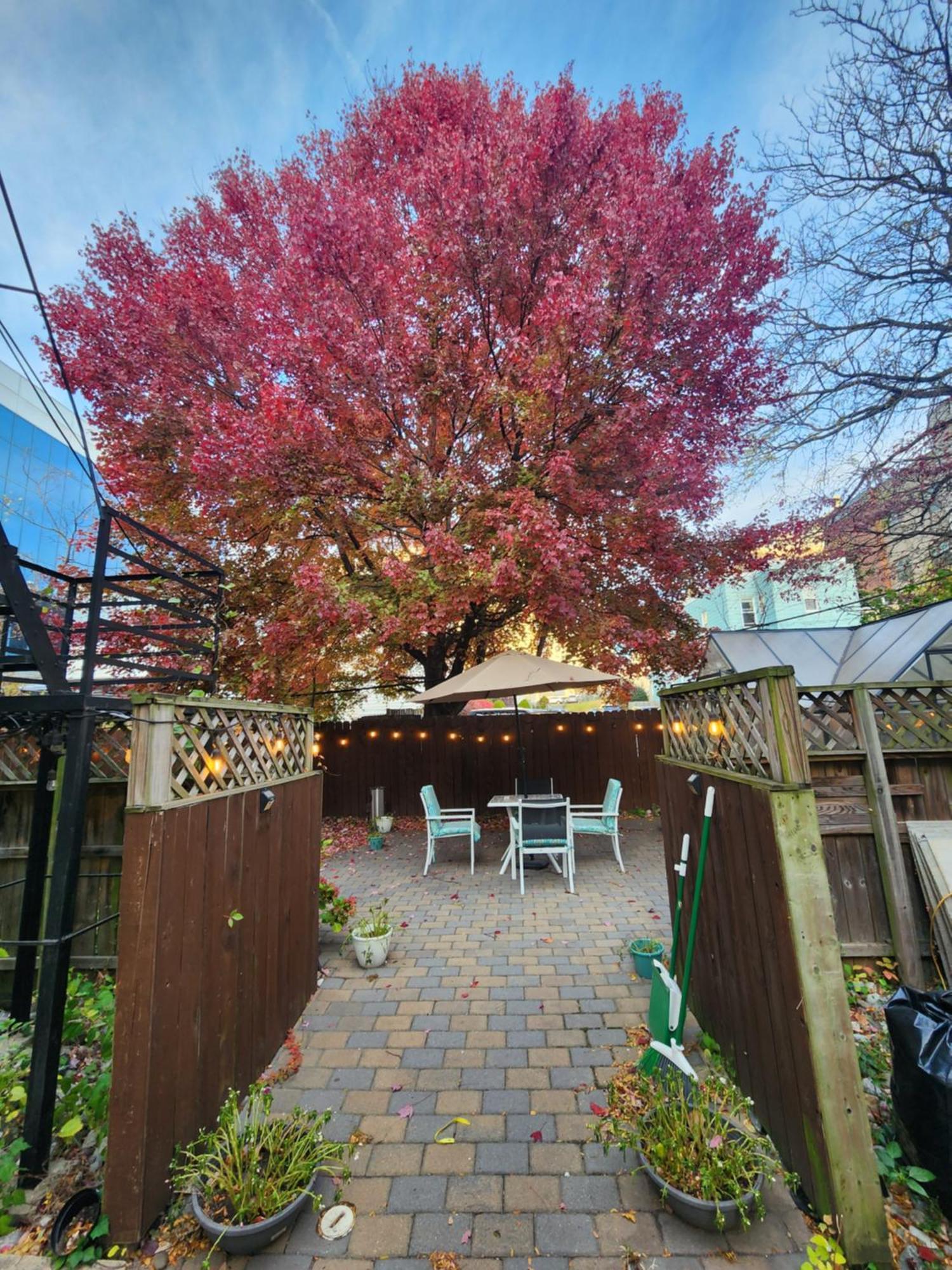 Magnolia Stay Near New York City Jersey City Eksteriør bilde